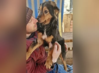 Junger Traumbursche Larry