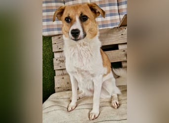 Sanfte Trixi sucht ihre Menschen