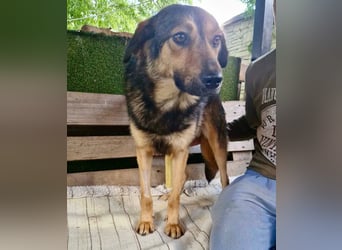 Susa, sie bettelt hinter Gittern um Liebe...