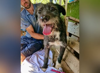Luna sucht einen Ort zum Ankommen