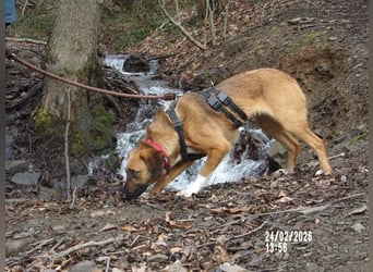 Sira wartet auf ihr Happy End