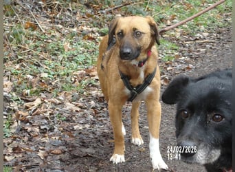 Sira wartet auf ihr Happy End