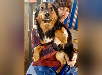 Junger Traumbursche Larry