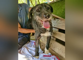 Luna sucht einen Ort zum Ankommen