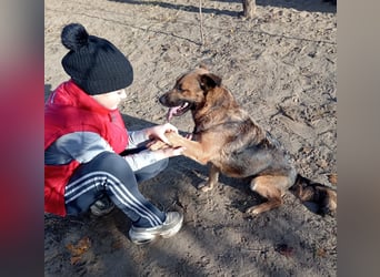 Mery sucht ihre Menschen