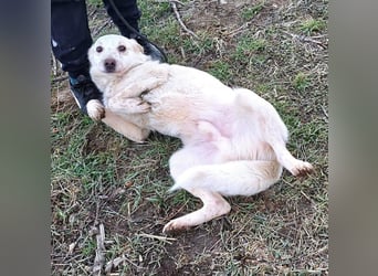 Ralf wartet seit 4 J. auf seine Ausreise aus Rumänien