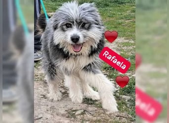 Rafaela lacht, obwohl sie in Rumänien nichts zu lachen hat