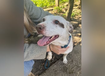 Ildike - hast du noch Platz im Herzen?