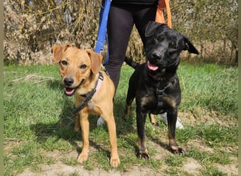 Frederico sucht einen Sportpartner
