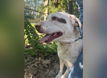 Ildike - hast du noch Platz im Herzen?