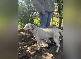 Ildike - hast du noch Platz im Herzen?