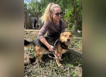 Rubina sucht ihren Menschen