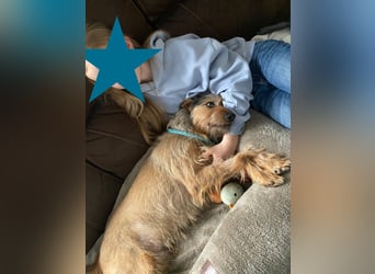 HAPPY ❤️ Name = Programm, Pflegefamilie Köln