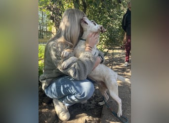 Ildike - hast du noch Platz im Herzen?