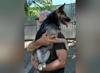 Gibst du Norka eine Chance?