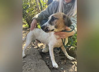 Bounty sucht ein zu Hause