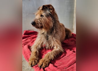 HAPPY ❤️ Name = Programm, Pflegefamilie Köln