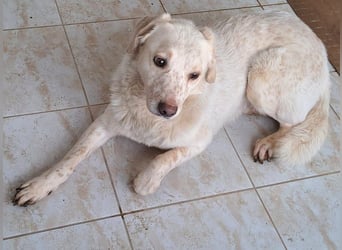 Ralf wartet seit 4 J. auf seine Ausreise aus Rumänien