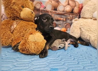 Frederico sucht einen Sportpartner