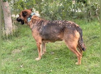 Mery sucht ihre Menschen