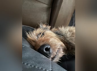 HAPPY ❤️ Name = Programm, Pflegefamilie Köln