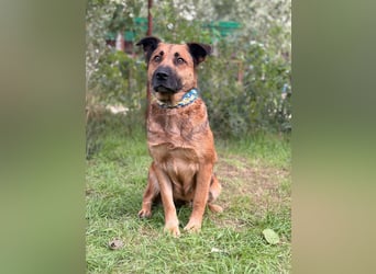 Mery sucht ihre Menschen