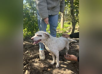 Ildike - hast du noch Platz im Herzen?