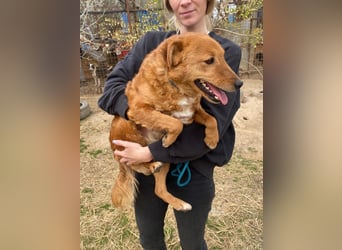 Kajla wartet auf sein Happy End