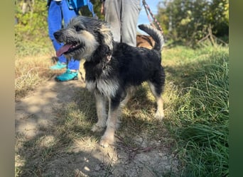 Mit Ozzy gemeinsam ins Glück