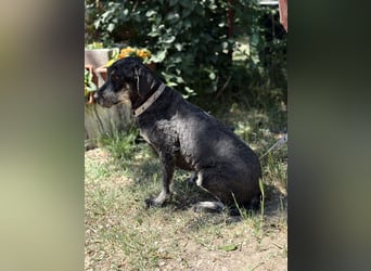 Samu hat so viel Liebe zu geben