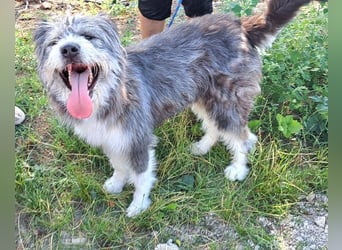 Rafaela lacht, obwohl sie in Rumänien nichts zu lachen hat