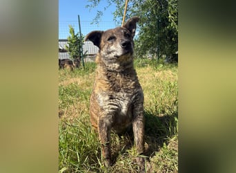 Motyo bringt Freude mit
