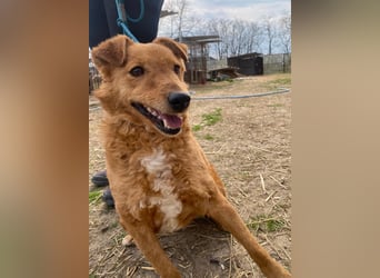 Kajla wartet auf sein Happy End