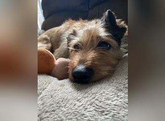 HAPPY ❤️ Name = Programm, Pflegefamilie Köln
