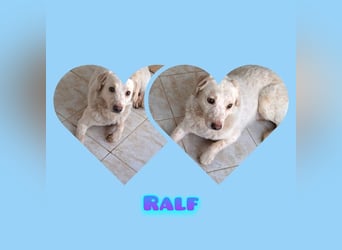 Ralf wartet seit 4 J. auf seine Ausreise aus Rumänien