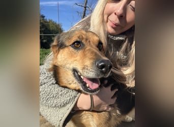 Rubina sucht ihren Menschen