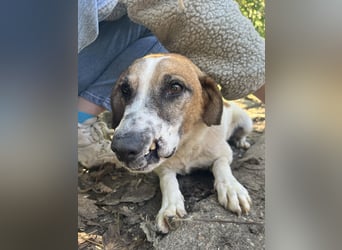 Bounty sucht ein zu Hause