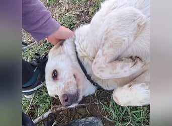 Ralf wartet seit 4 J. auf seine Ausreise aus Rumänien