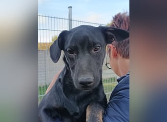 Frederico sucht einen Sportpartner