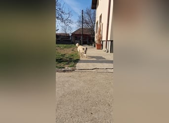 Ich bin bereit für Spiel, Spaß und mein eigenes Zuhause.“