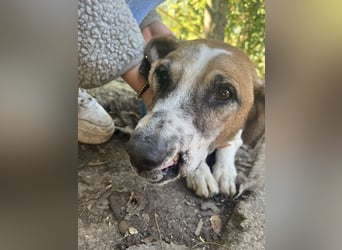 Bounty sucht ein zu Hause