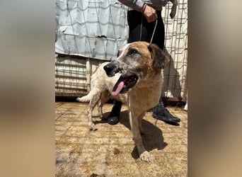 Bounty sucht ein zu Hause