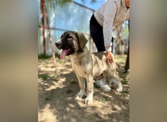Nils verdient endlich Glück