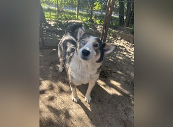 Möchtest du Lias Herzensmensch sein?