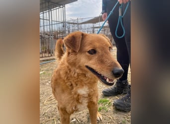 Kajla wartet auf sein Happy End