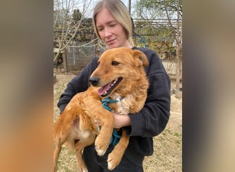 Kajla wartet auf sein Happy End