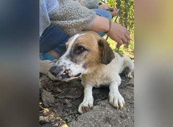 Bounty sucht ein zu Hause