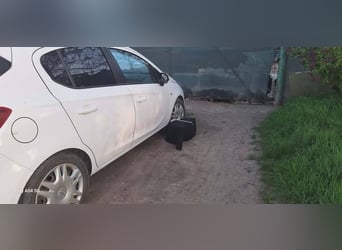 Welpenmädchen 887780 sucht ihr eigenes Körbchen