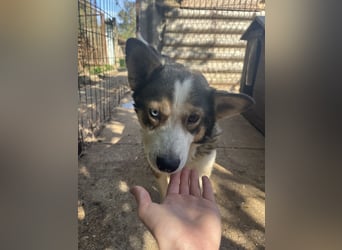 Möchtest du Lias Herzensmensch sein?