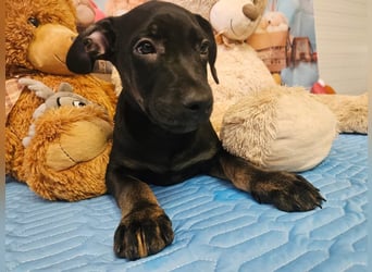 Frederico sucht einen Sportpartner